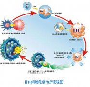 治疗生殖器疱疹的费用